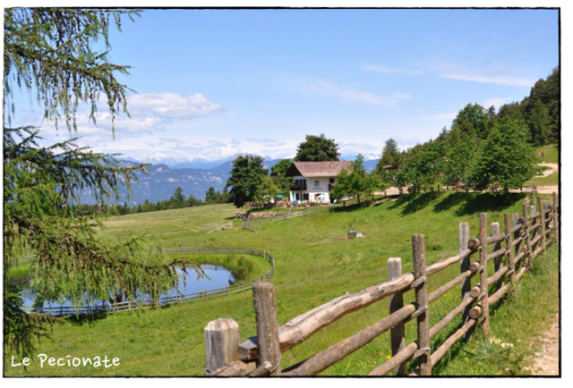 al rifugio in montagna per famiglie