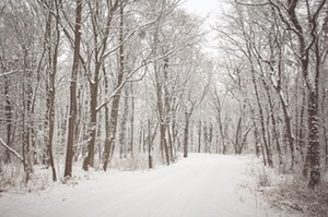 ciaspole nella neve