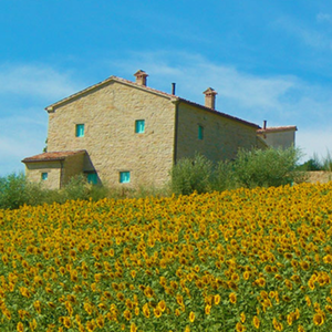 fattoria-agriturismo marche