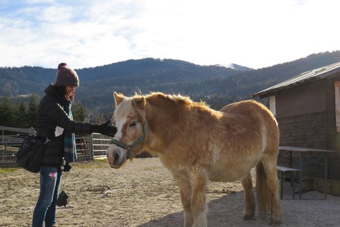 giulia e la vechcia pony