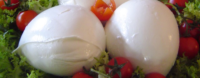 Mozzarella Bufala Campana DOP