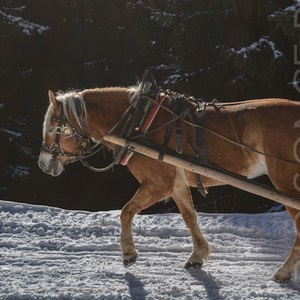 ortisei val gardena