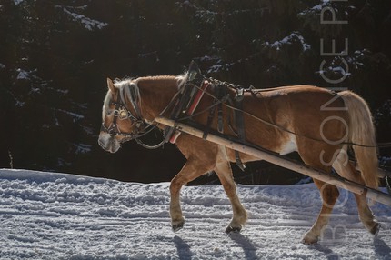 ortisei val gardena