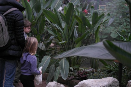 bambini alla casa delle farfalle