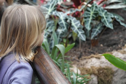 casa delle farfalle con bambina