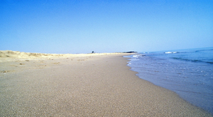 spiagge-basilicata-per-bambini