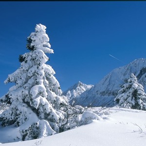 val di sole neve