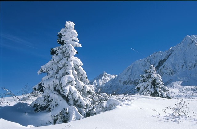 val di sole neve